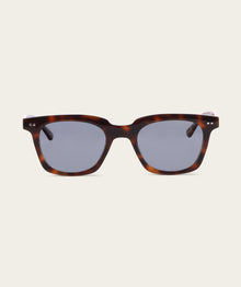 Jackson - Dark Tortoise (Polarized)