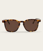 Stevie - Turtle (Polarized)